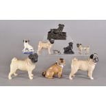A group of models of pugs including a cold painted bronze example, Beswick, Basil Matthews etc
