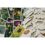 Modern Cigarette Cards, Mixture a variety of sets, some duplication, from Grandee, Embassy and Black