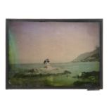 Lumière Autochromes, whole plate - portrait of lady with dog (1), girl on seaside rock (1),