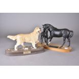 A Beswick 'Black Beauty and Foal', on plinth base, 30 cm wide x 20 cm high, together with a Royal