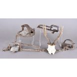 A 1900s 'Gin Trap' other examples and a mounted deer skull