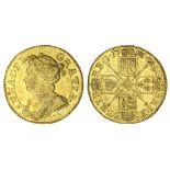 Anne (1702-14), Guinea, 1713, third laureate and draped bust left, rev. crowned shields crucifo...