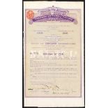 Australia: North Sydney Investment and Tramway Company Ltd., 4½% debenture for £100, Sydney 188...