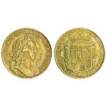 William and Mary (1688-94), Five-Guineas, 1691 tertio, conjoined laureate busts right, elephant...