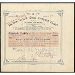 New Zealand: New Zealand Times Company Ltd., £1 preference shares, Wellington 189[1900], #49, o...