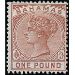 Bahamas 1884 £1 Venetian red,