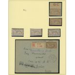 France 1900-27 "Merson" Issues 1900 Issue 50c. cinnamon and lavender, eleven mint, including a...