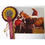 RED RUM 1978 Colour photograph 9" x 7" of Red Rum at the Beaconsfield Horse Show 1978. Also includes