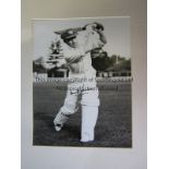BRADMAN Photograph of Donald Bradman (17ins x 12 ins) with a signature believed to be genuine.