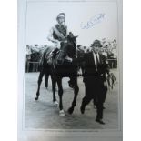 LESTER PIGGOTT 1970 B/W 16 x 12 photo-edition, photo of Nijinsky ridden by Lester Piggott being