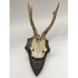 A small mounted set of antlers dated 11th August, 1945.