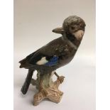 A large Goebel model of a Jay, approx 23cm high