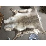 An animal skin rug, likely a deer. Size approx 140