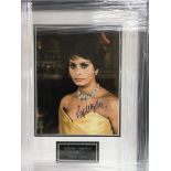 A framed and glazed photograph of Sophia Loren wit