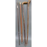 Four walking sticks including a sword stick and silver topped example