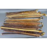 Approximately 25 walking sticks/canes including multiple silver topped examples, carved,