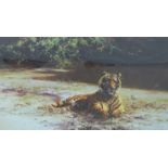 David Shepherd 'Indian Siesta, Tiger Resting' signed limited edition (473 / 1300) print,