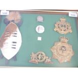 A framed collection of badges and helmet plates to the 24th Regiment of Foot,