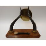 A taxidermy antelope horn table gong mounted on oak base,