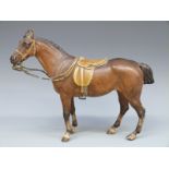 Franz Bergman cold painted bronze figure of a horse with saddle and bridle,