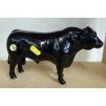 John Beswick boxed Aberdeen Angus bull