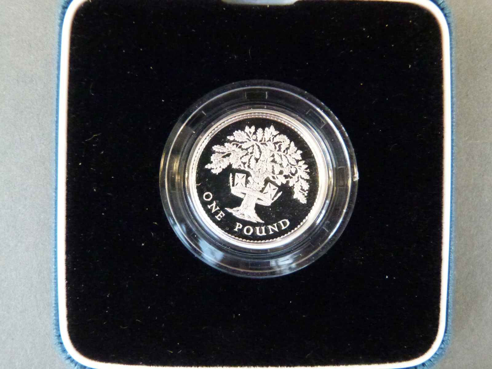 Three Royal Mint UK silver proof cased £1 coins one for 1988, the other two 1992, - Image 3 of 4