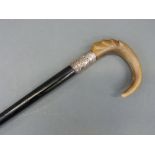 An Edwardian hallmarked silver and rhinoceros horn walking stick