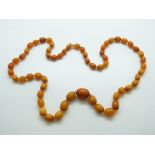 A Baltic amber necklace of 59 ovoid beads, the largest approximately, 34.2g, 1.9 x 1.