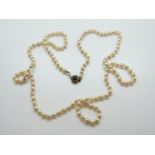 A single strand of cultured pearls with silver clasp