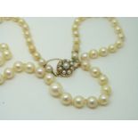 A pearl necklace with 14ct gold clasp set with pearls,