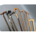 A collection of sticks including shepherds crook,