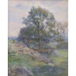 Francis Berry watercolour rural scene 'A Winding Path and a Stony Corner', signed lower right,