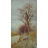 Edwin Bottomley watercolour two sheep by a stream, signed and dated 1905 lower right,