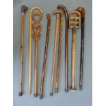 A group of walking sticks including some with animal head handles