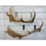 A pair of antlers,