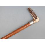 A deer horn handled walking stick