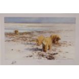 David Shepherd signed limited edition print 67 / 1500 Lone Wanderers of the Artic in original
