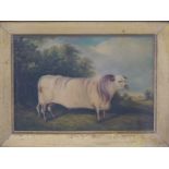 Oil on board 'Somerby's Prize Bullock All Norfolk First Prize, Heathcote Farm, Baconsthorpe,