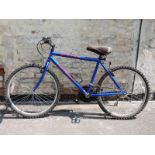 Etna Professional blue mountain bike