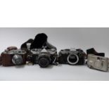 Quantity of cameras to include Olympus OM1 with 1:1.