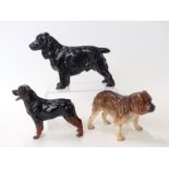 Three Royal Doulton dog figures including large Cocker Spaniel Luckystar of Ware HN1000,