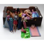 Approximately forty Barbie friend dolls including Shelly, Skipper, Ken,