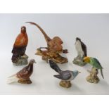 Six Beswick bird figures including pheasant, pigeon,