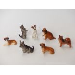 Seven Royal Doulton dog figures from the K series including K15 Chow and K19 St Bernard
