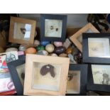 Hand polishing gemstone kits, an amethyst candle holder, agate slices, a beetle, agate gems, pyrite,