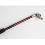 Victorian/Edwardian parasol, the handle a hallmarked silver greyhound dog with inset glass eyes,