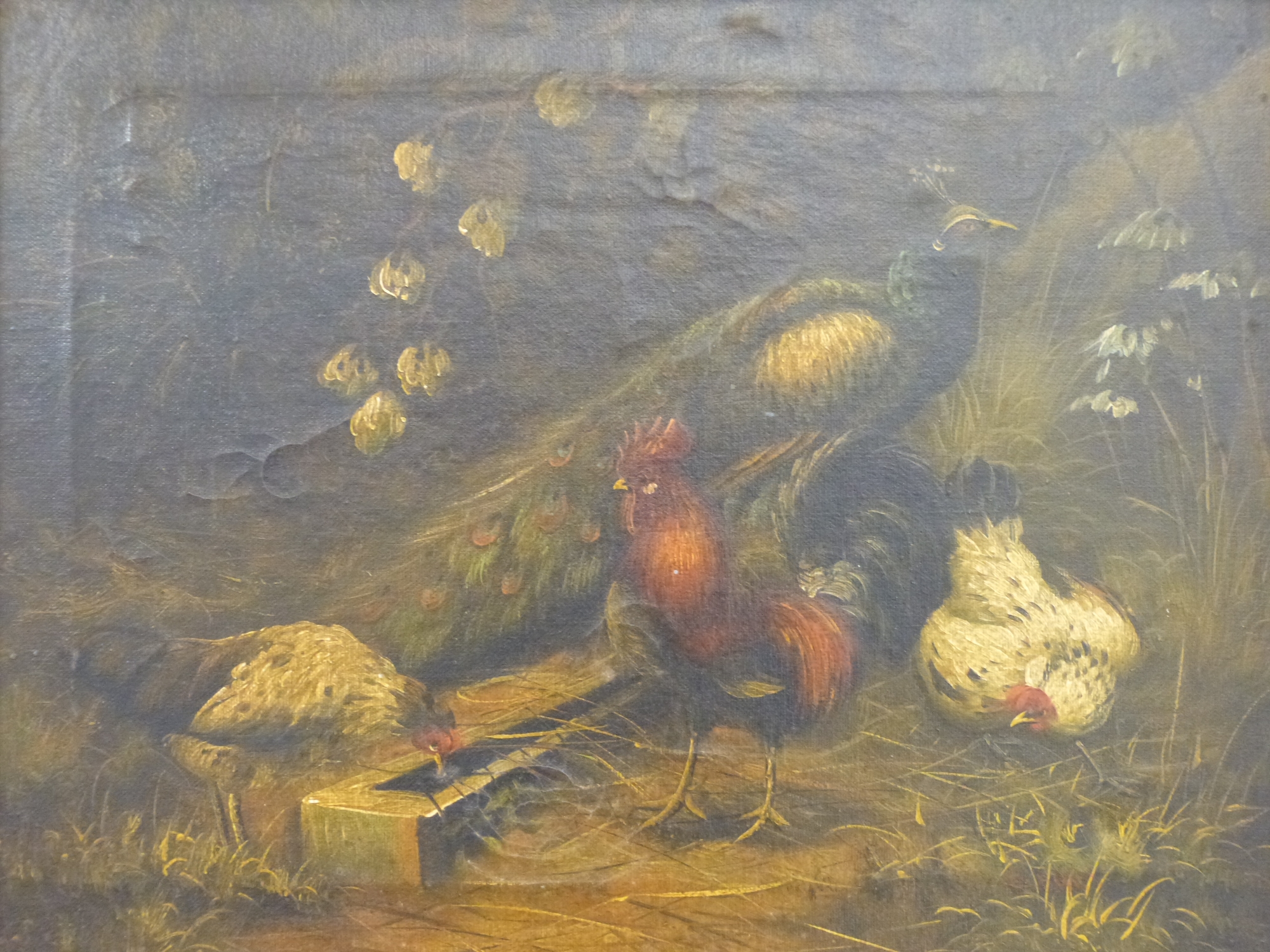 19thC style oil on canvas peacock and chickens feeding,
