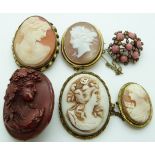 A collection of shell cameo brooches including Victorian pinchbeck example