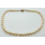 A single strand of pearls with 9ct gold clasp.