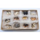 Twelve miniature carved bone dogs, each a different breed, most approx 2.5cm long.
